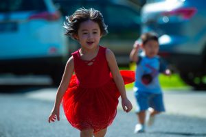 summer activities for families 106
