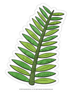 Palm Frond Coloring Page