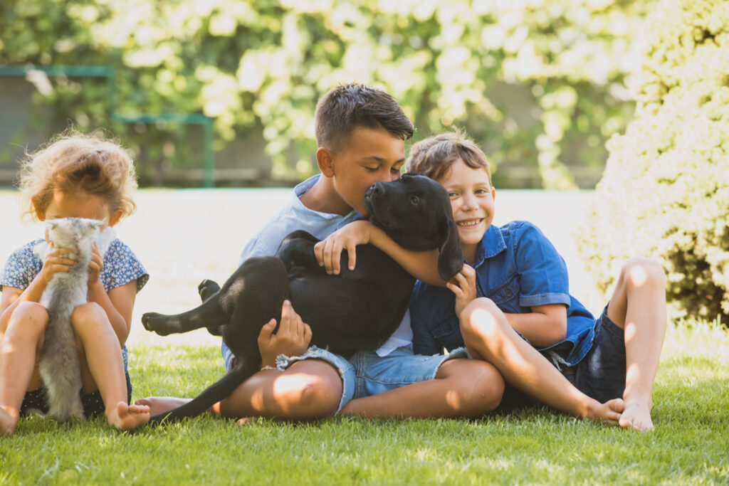 Three children sitting in grass. Two children cuddle a puppy with short black fur while one child cuddles a kitten with fluffy gray fur.