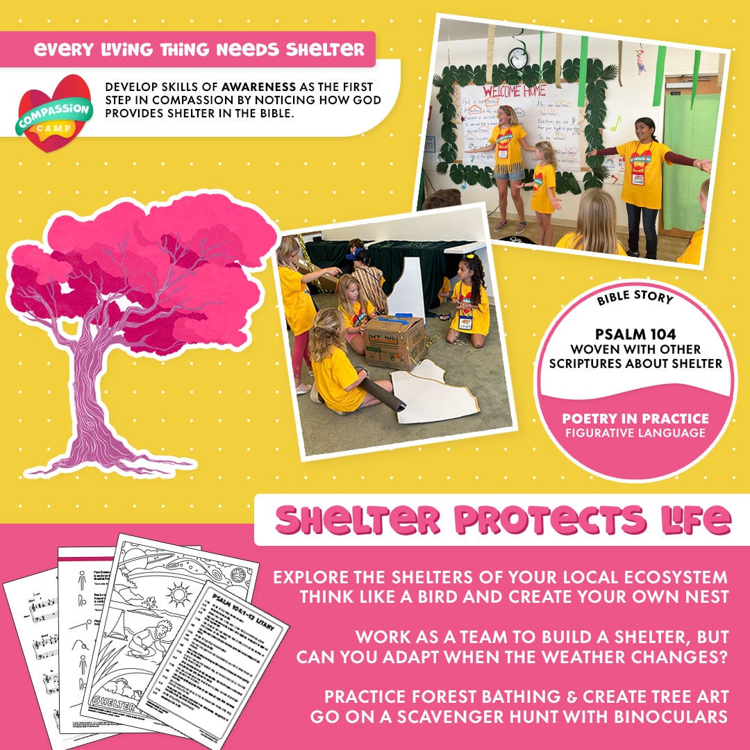 Children in yellow Compassion Camp shirts present and build a cardboard shelter; graphics highlight Psalm 104 and the theme “Shelter protects life.”
