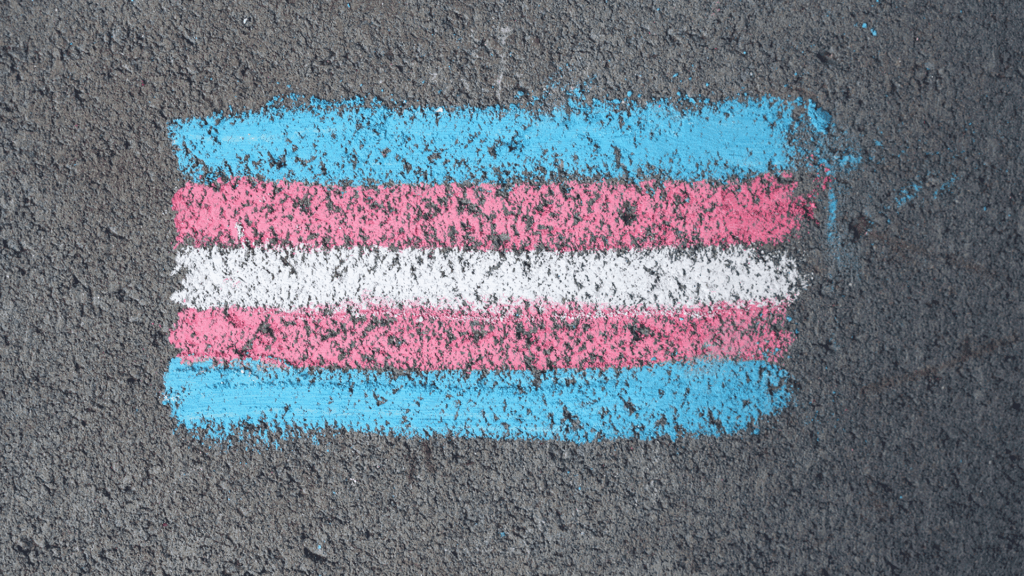 A chalk drawing of the transgender pride flag—blue, pink, and white stripes—on textured pavement.